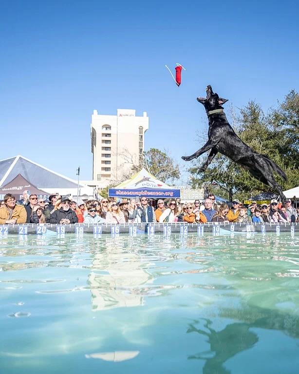 Those Smiley Dogs! Flyin’ into DAY 2 @sewe 🤙

📸: @roleagency